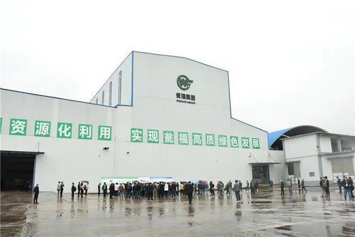 石膏新紀元 走進優質石膏工廠，見證機械化施工的力量